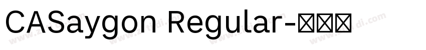 CASaygon Regular字体转换